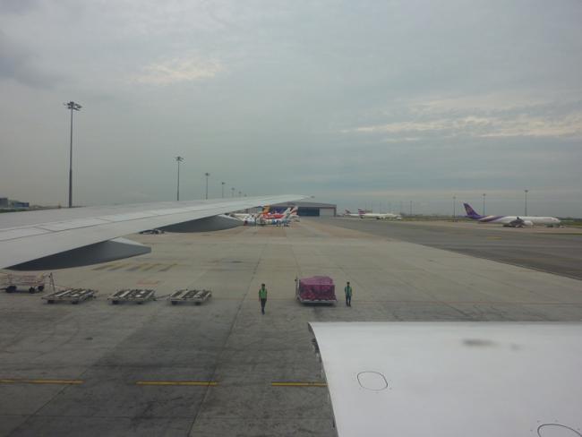 P1000658.jpg